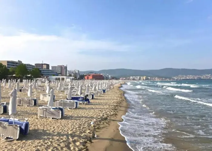 Amadeus I B31 Sunny Appartamento